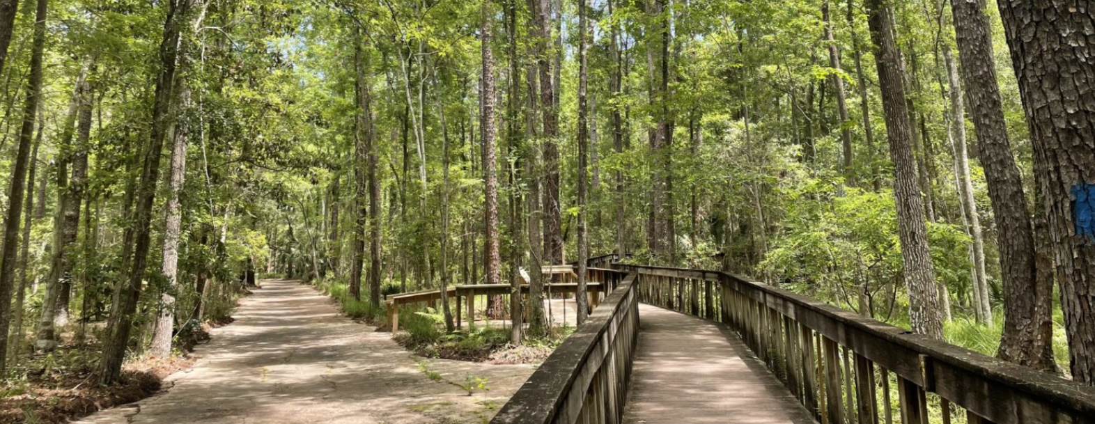 National Public Lands Day - Choose Your Own Adventure!